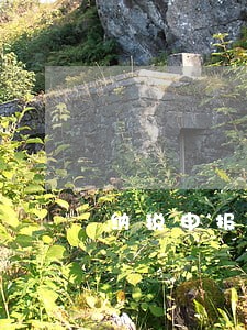 纳税申报逾期1天咨询 纳税申报逾期1天咨询