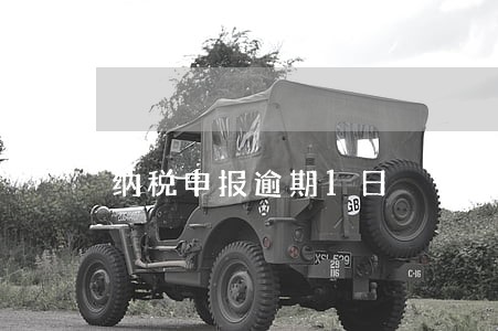 纳税申报逾期1日