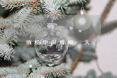 纳税申报逾期一天 纳税申报逾期一天