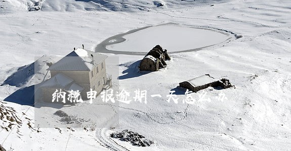 纳税申报逾期一天怎么办
