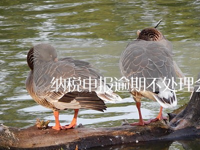 纳税申报逾期不处理会怎么样 纳税申报逾期不处理会怎么样