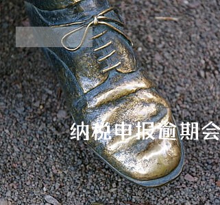 纳税申报逾期会有什么后果 纳税申报逾期会有什么后果