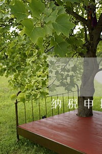 纳税申报逾期半个月 纳税申报逾期半个月