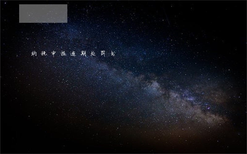 纳税申报逾期处罚书 纳税申报逾期处罚书