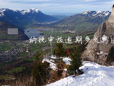 纳税申报逾期多久行政处罚 纳税申报逾期多久行政处罚