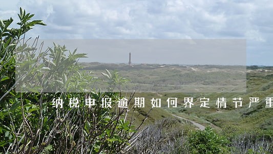 纳税申报逾期如何界定情节严重 纳税申报逾期如何界定情节严重