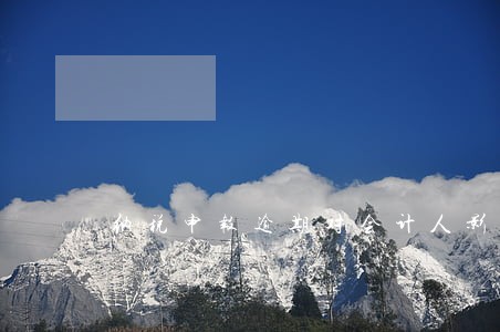 纳税申报逾期对会计人影响