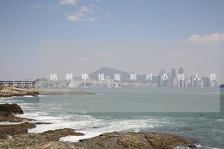 纳税申报逾期对办税人员 纳税申报逾期对办税人员