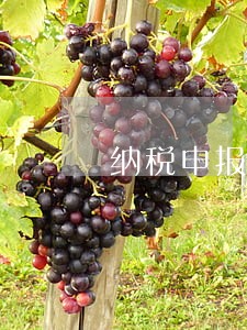 纳税申报逾期怎么办理 纳税申报逾期怎么办理