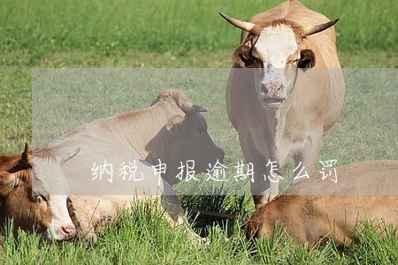 纳税申报逾期怎么罚 纳税申报逾期怎么罚