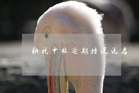 纳税申报逾期情况说名 纳税申报逾期情况说名