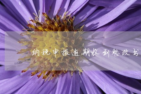纳税申报逾期收到整改书 纳税申报逾期收到整改书