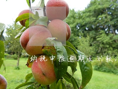 纳税申报逾期没划款；