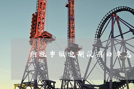 纳税申报逾期没有公章怎么办