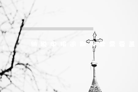 纳税申报逾期罚款需要盖公章吗 纳税申报逾期罚款需要盖公章吗