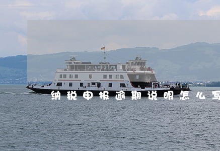 纳税申报逾期说明怎么写 纳税申报逾期说明怎么写