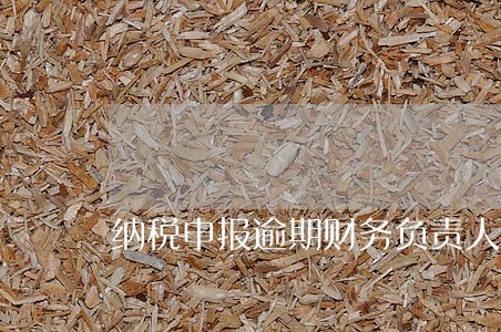 纳税申报逾期财务负责人有影响吗 纳税申报逾期财务负责人有影响吗