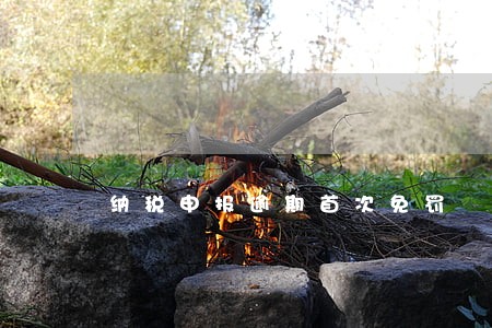 纳税申报逾期首次免罚 纳税申报逾期首次免罚