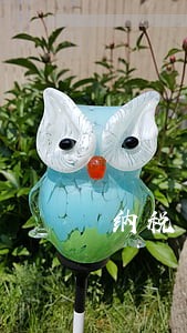 纳税申报逾期首次是指当年吗 纳税申报逾期首次是指当年吗