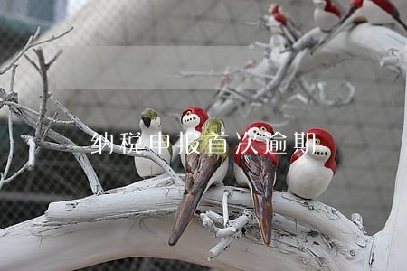 纳税申报首次逾期 纳税申报首次逾期