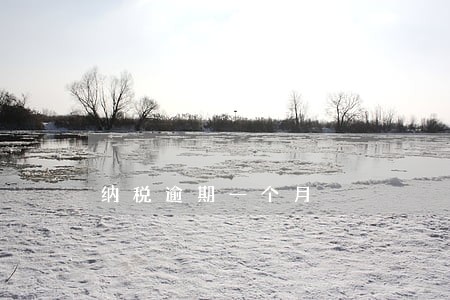 纳税逾期一个月 纳税逾期一个月