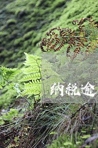 纳税逾期一个月以上处罚 纳税逾期一个月以上处罚