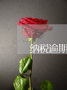 纳税逾期不申报需要税收担保 纳税逾期不申报需要税收担保