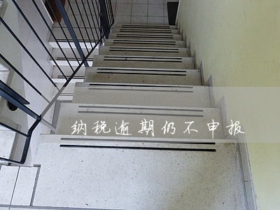 纳税逾期仍不申报 纳税逾期仍不申报