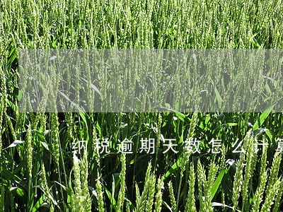 纳税逾期天数怎么计算 纳税逾期天数怎么计算