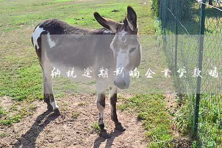 纳税逾期影响企业贷款吗 纳税逾期影响企业贷款吗