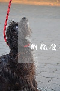 纳税逾期怎么申报 纳税逾期怎么申报