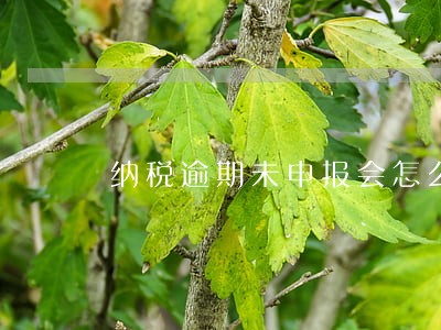 纳税逾期未申报会怎么样 纳税逾期未申报会怎么样