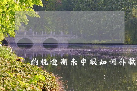 纳税逾期未申报如何补救 纳税逾期未申报如何补救