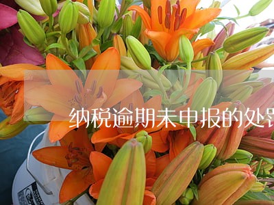 纳税逾期未申报的处罚 纳税逾期未申报的处罚