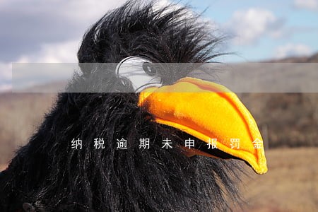 纳税逾期未申报罚金 纳税逾期未申报罚金
