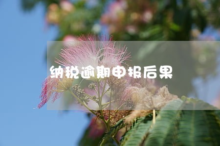 纳税逾期申报后果 纳税逾期申报后果