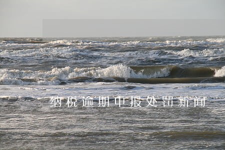 纳税逾期申报处罚新闻 纳税逾期申报处罚新闻
