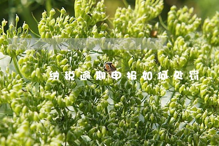 纳税逾期申报如何处罚 纳税逾期申报如何处罚