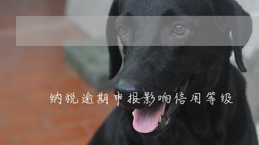 纳税逾期申报影响信用等级