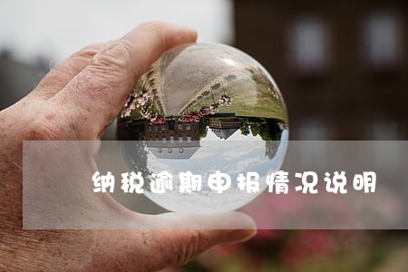 纳税逾期申报情况说明 纳税逾期申报情况说明