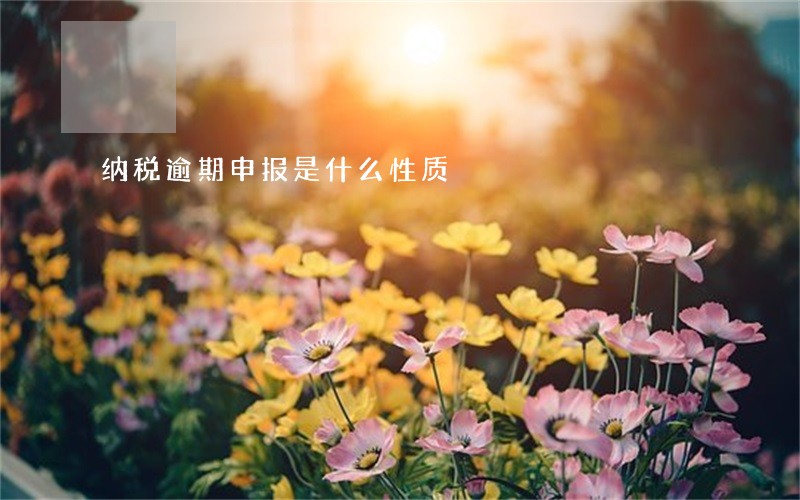纳税逾期申报是什么性质 纳税逾期申报是什么性质