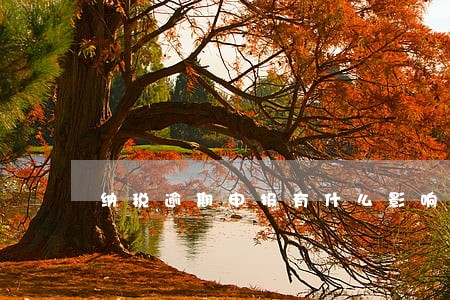 纳税逾期申报有什么影响