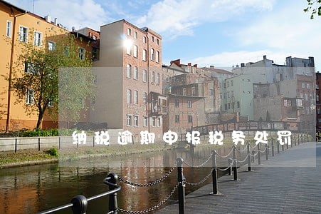 纳税逾期申报税务处罚 纳税逾期申报税务处罚
