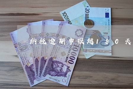 纳税逾期申报超180天