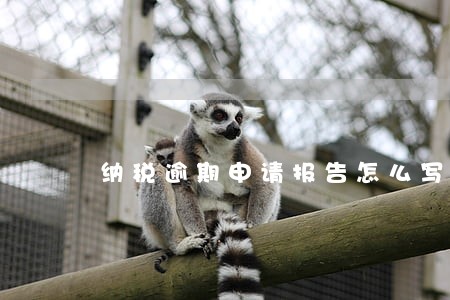 纳税逾期申请报告怎么写 纳税逾期申请报告怎么写