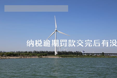 纳税逾期罚款交完后有没有收据 纳税逾期罚款交完后有没有收据