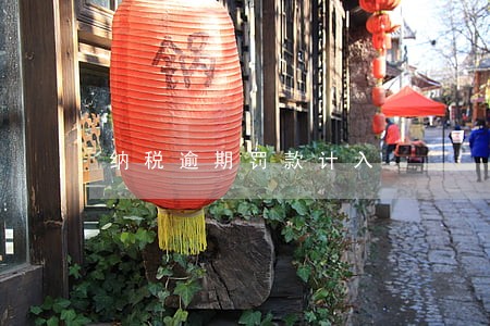 纳税逾期罚款计入 纳税逾期罚款计入