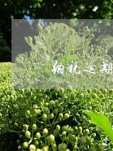 纳税逾期记录怎么消除 纳税逾期记录怎么消除