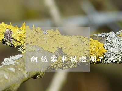 纳税零申报逾期7天 纳税零申报逾期7天