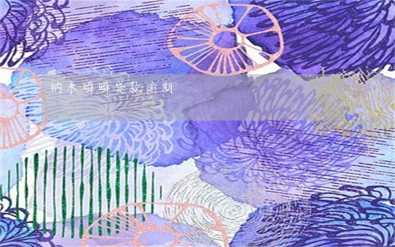 纳米瞬瞬贷款逾期 纳米瞬瞬贷款逾期